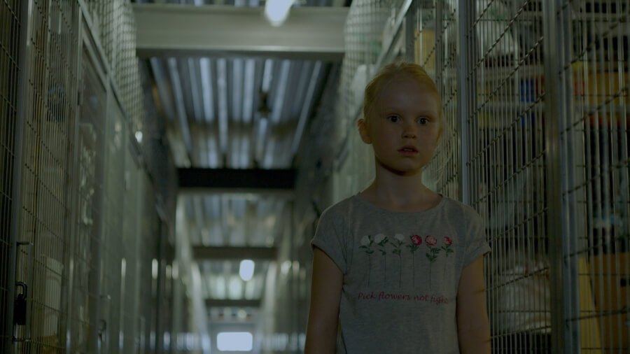 Кадр 3