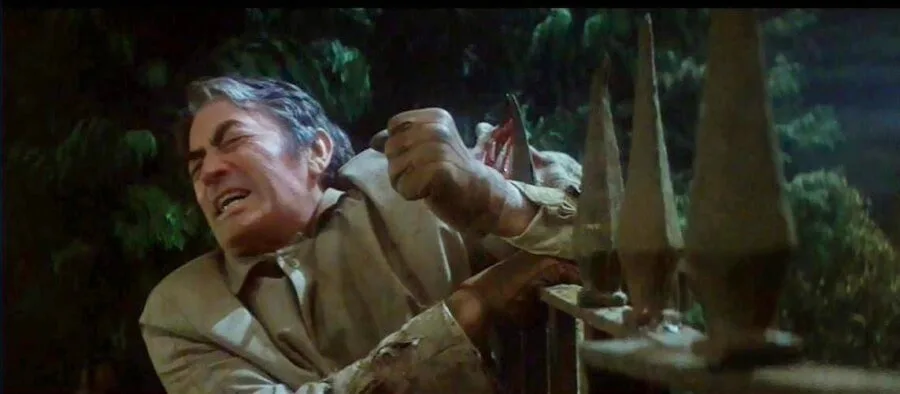 Frame 1