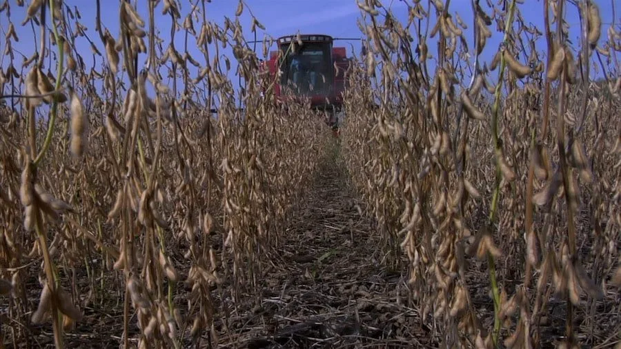 Frame 8