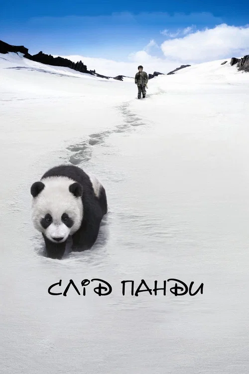 熊猫回家路