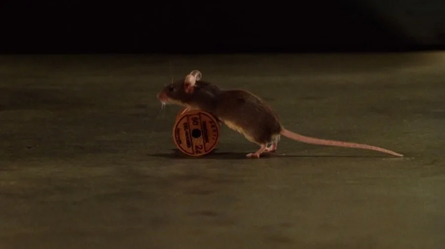 Frame 7