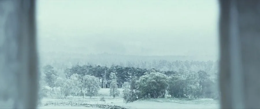 Frame 5