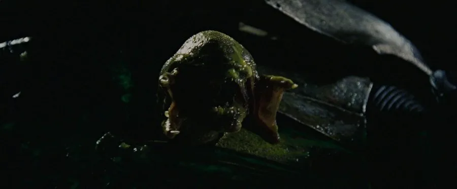 Frame 6