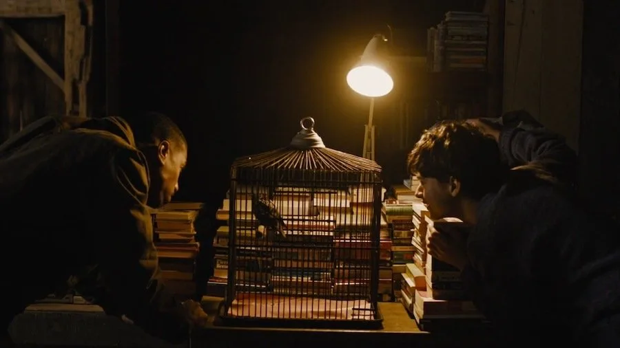 Frame 2