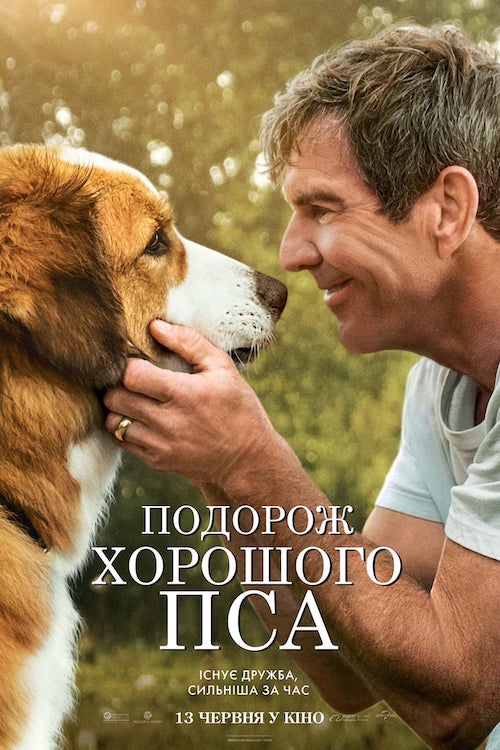 Собачья жизнь 2
