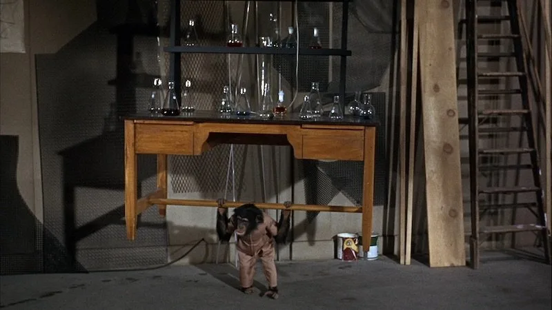 Frame 7
