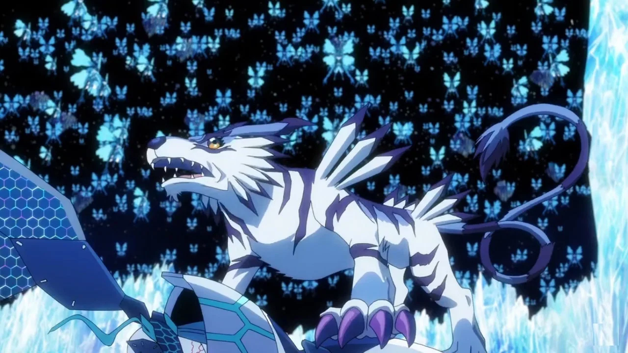 Frame 12