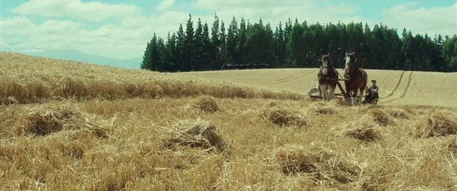 Frame 2