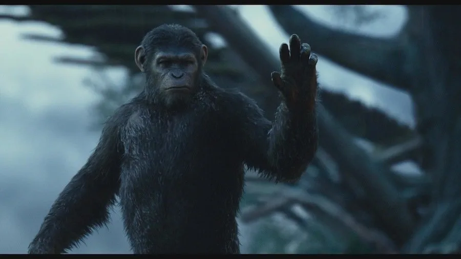 Frame 1