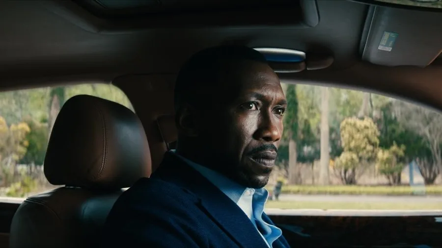 Frame 8
