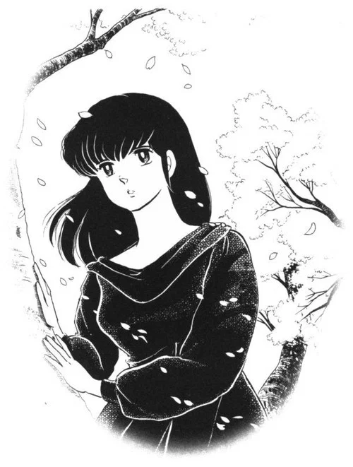 Maison Ikkoku