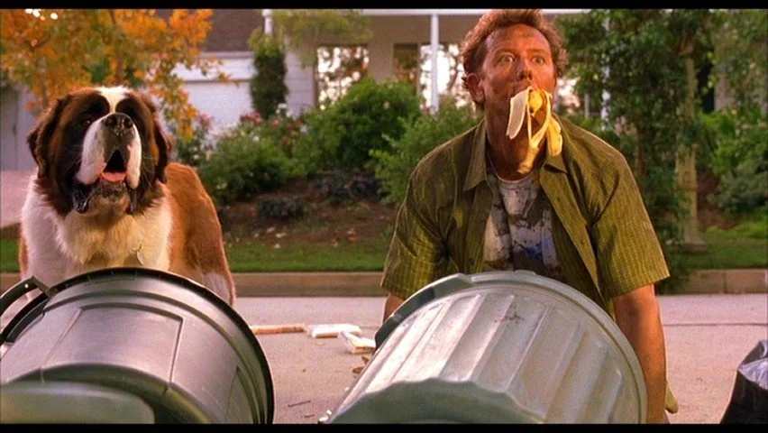 Frame 5