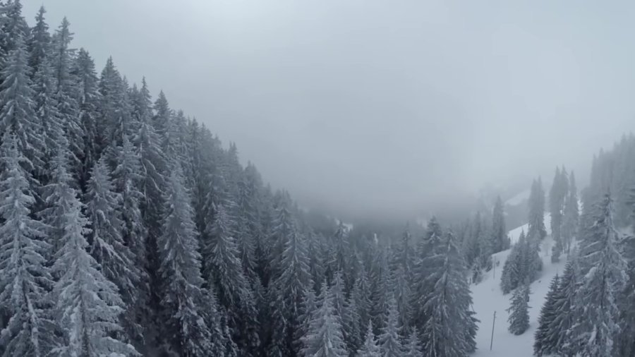 Кадр 2
