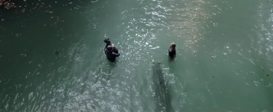 Frame 7