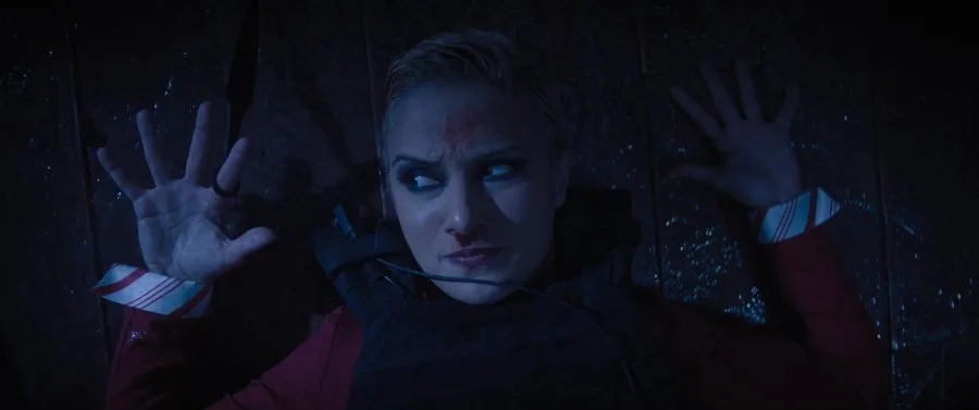 Frame 17