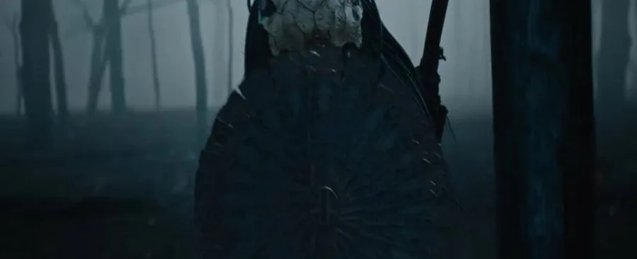 Frame 12
