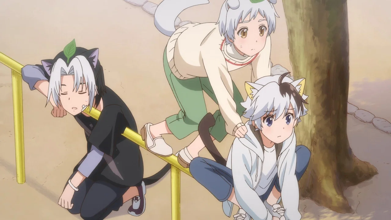 Frame 8