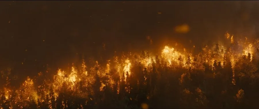 Frame 4