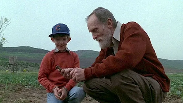 Frame 7
