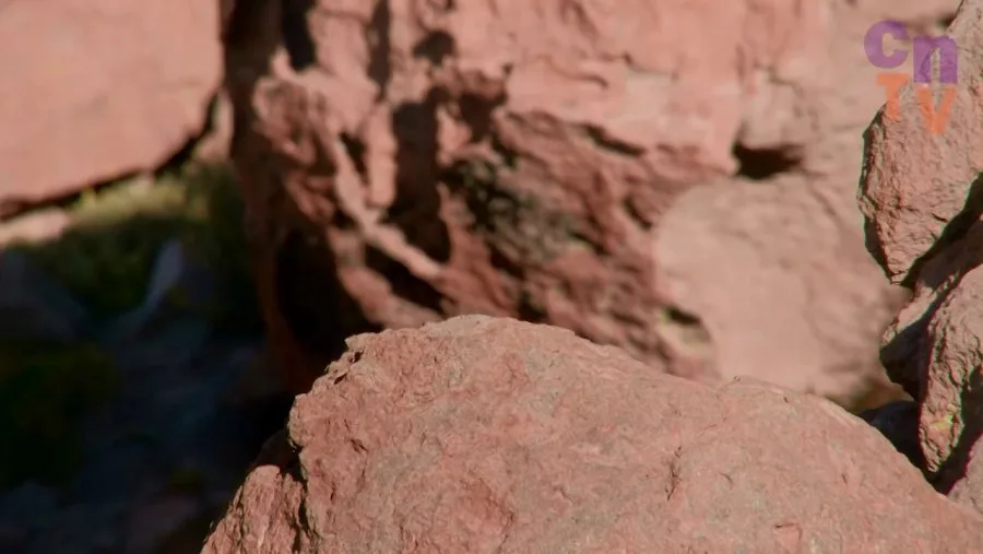 Frame 4