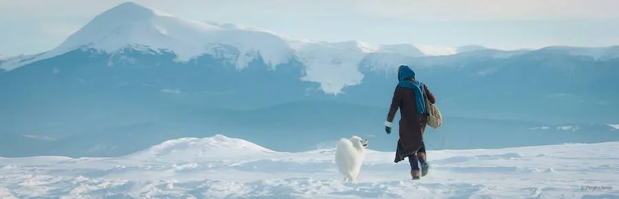 Frame 7