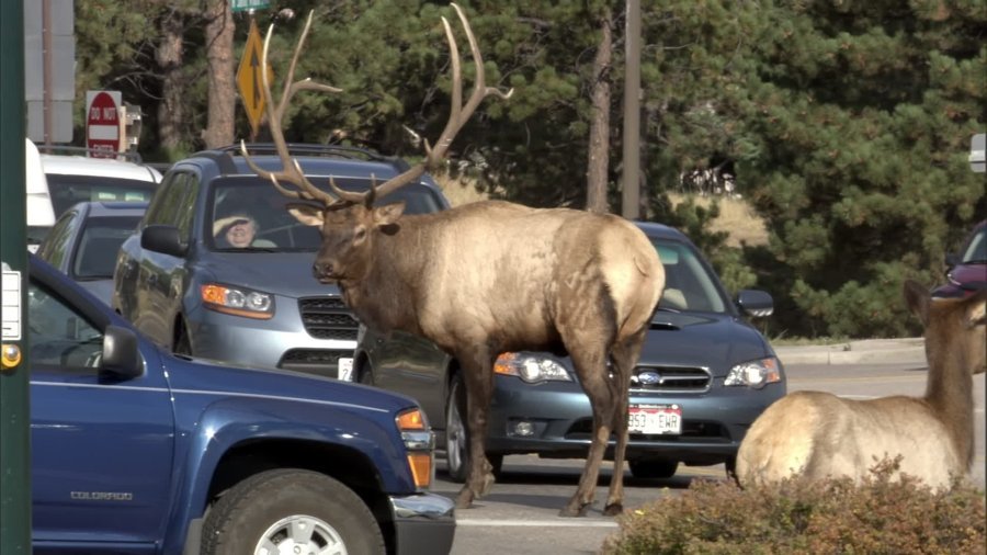 Кадр 8