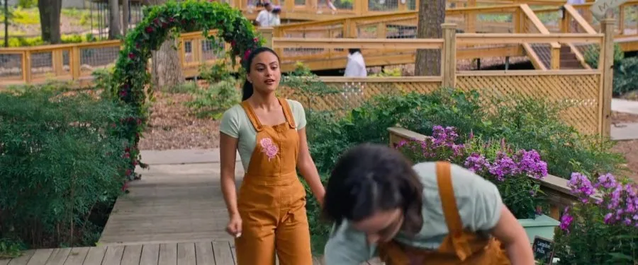 Frame 13