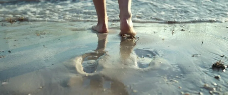 Frame 8