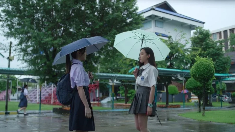 Frame 6