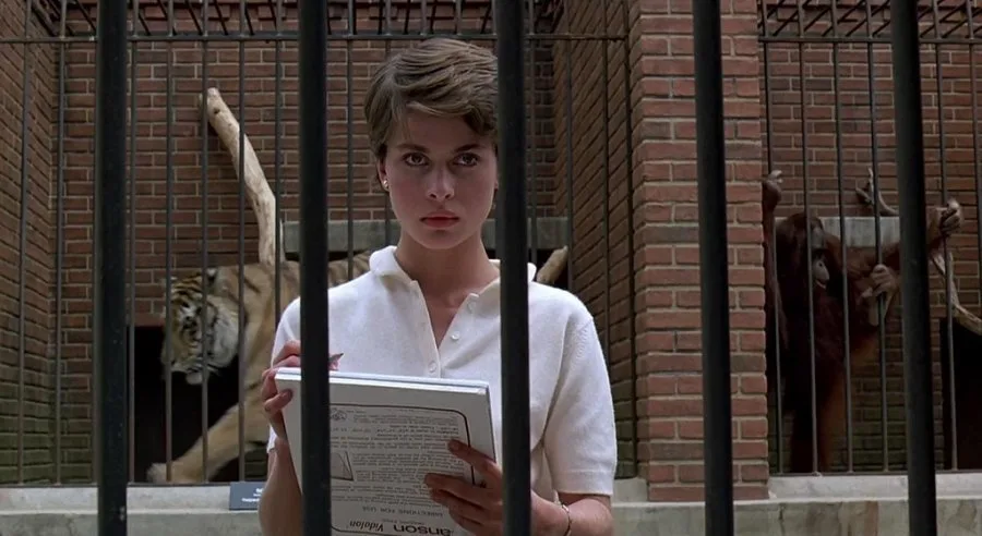 Frame 7