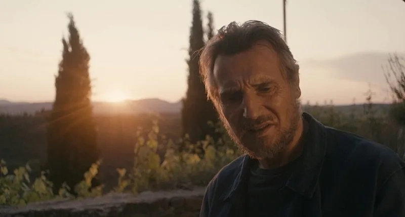 Frame 6