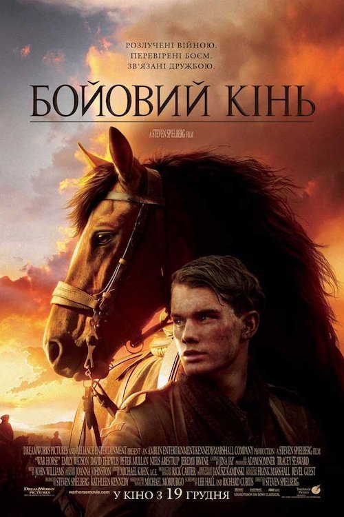 Бойовий кінь