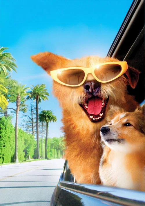 Dr. Dolittle: Million Dollar Mutts