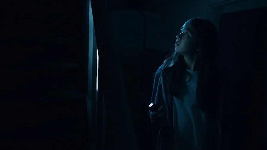 Frame 5