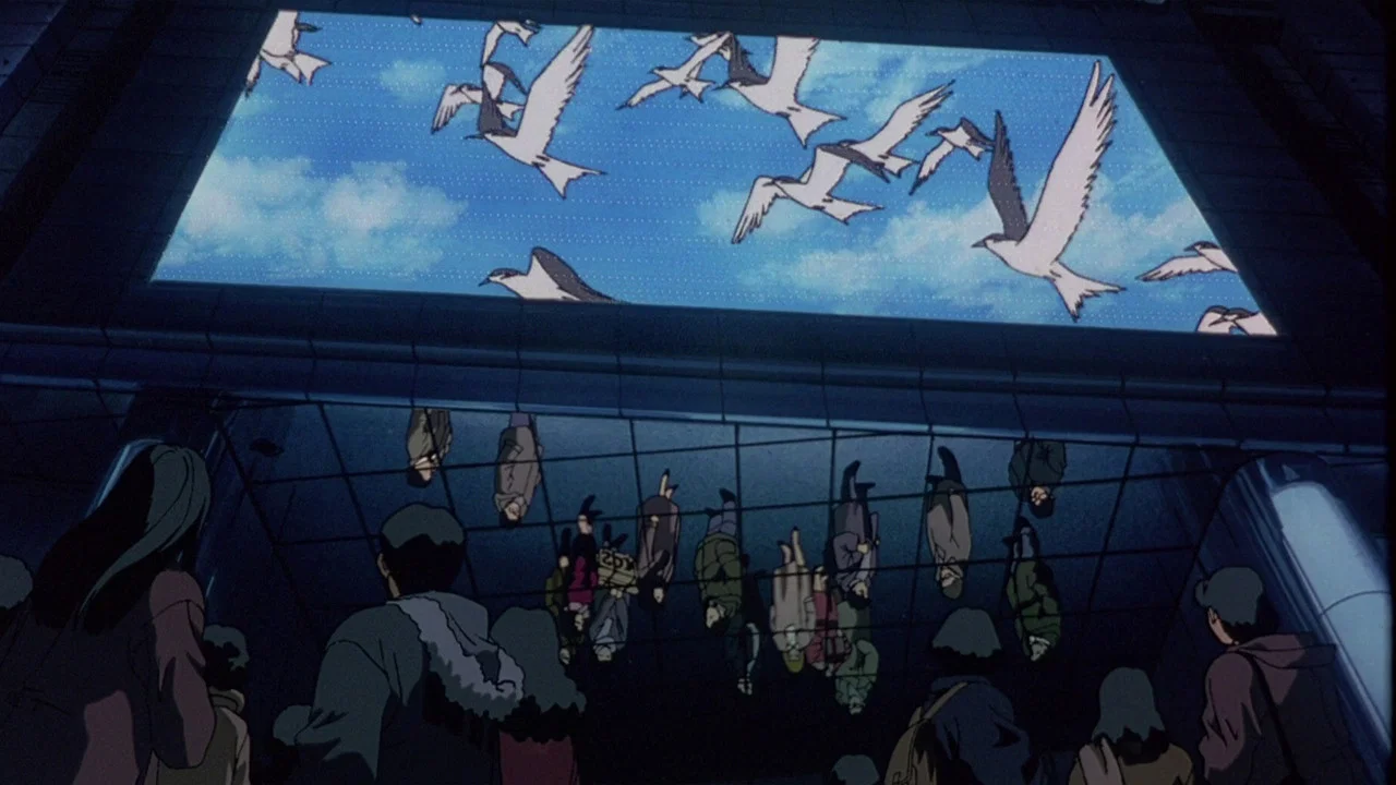 Frame 7