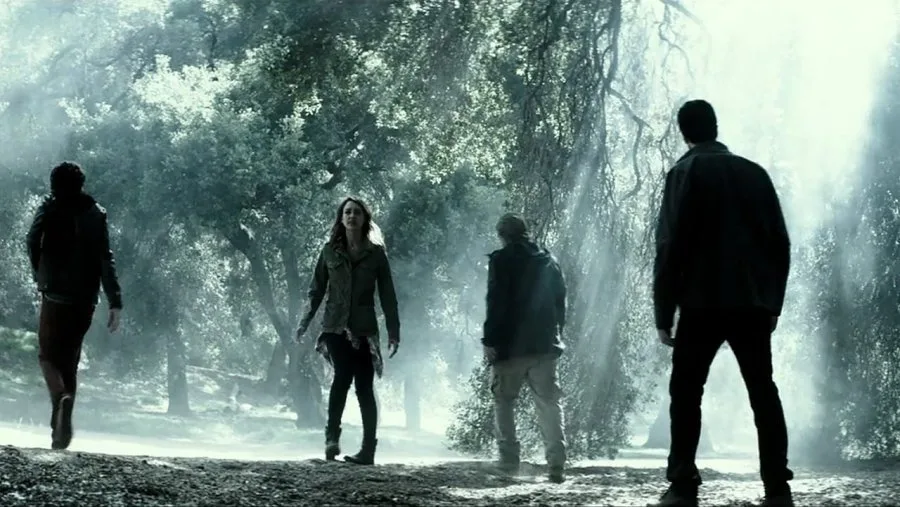 Frame 1