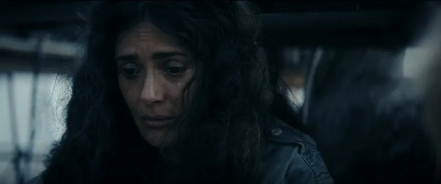 Frame 1
