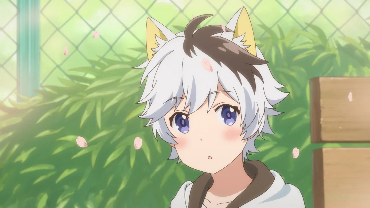 Frame 5
