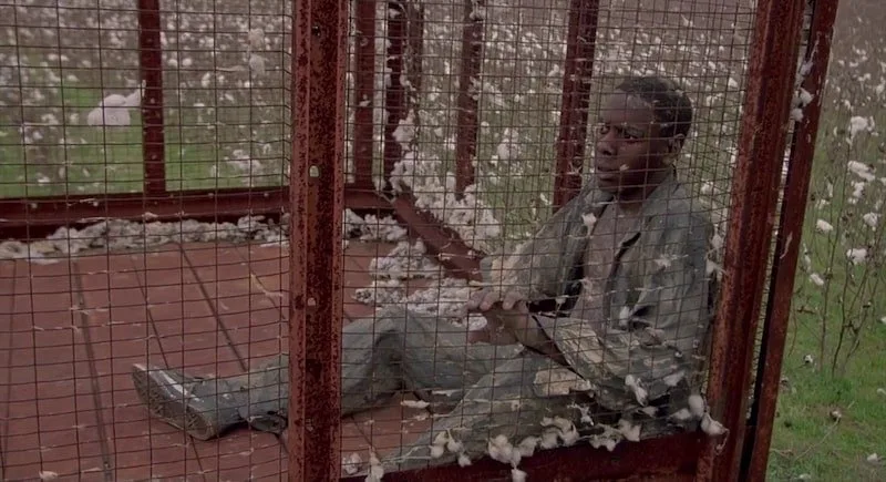 Frame 6