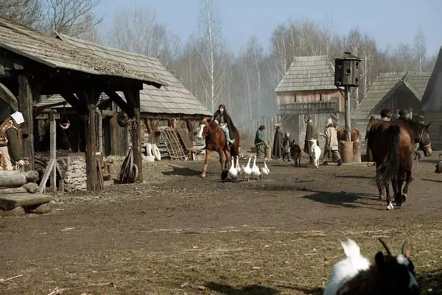 Кадр 8