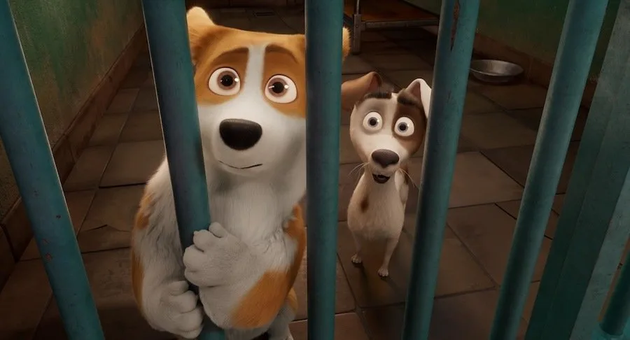 Frame 5