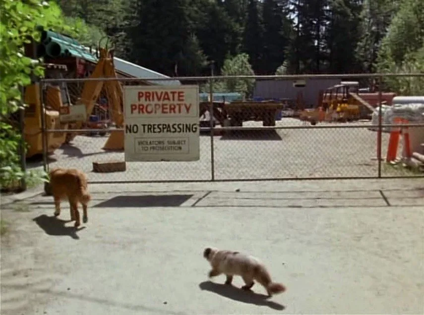 Frame 7