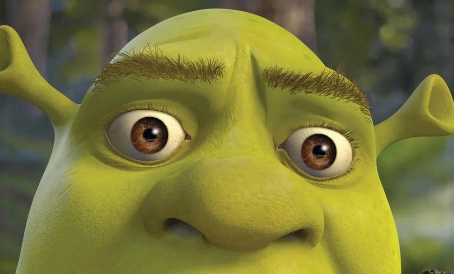 Frame 5