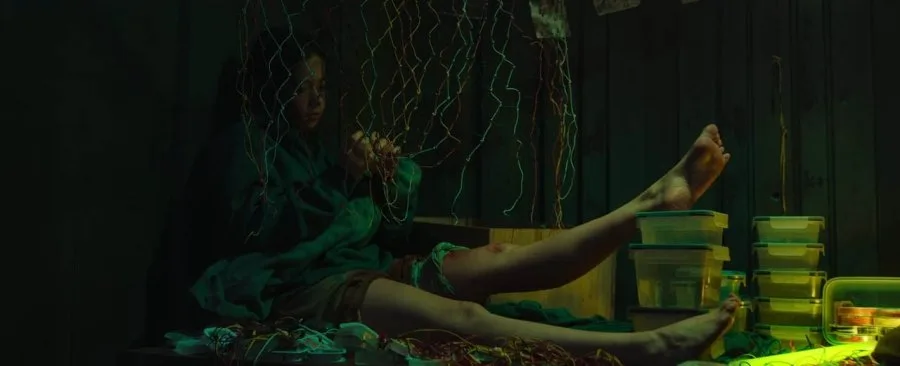 Frame 6