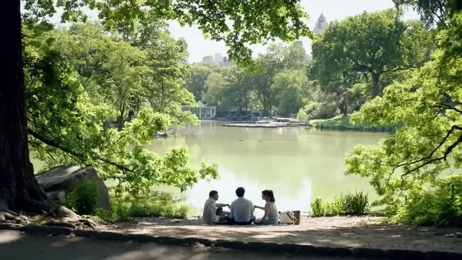 Frame 7