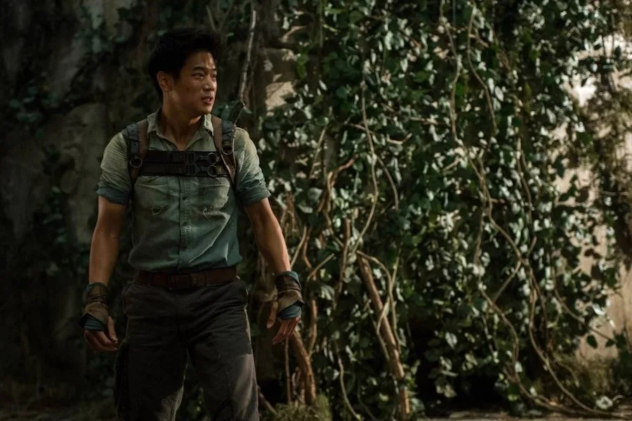 Frame 6