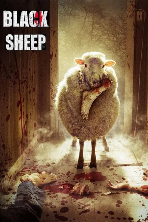 Black Sheep