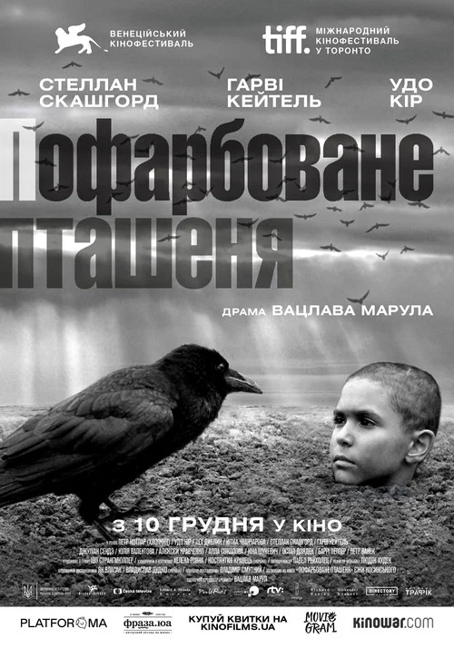 Пофарбоване пташеня / Розфарбований птах