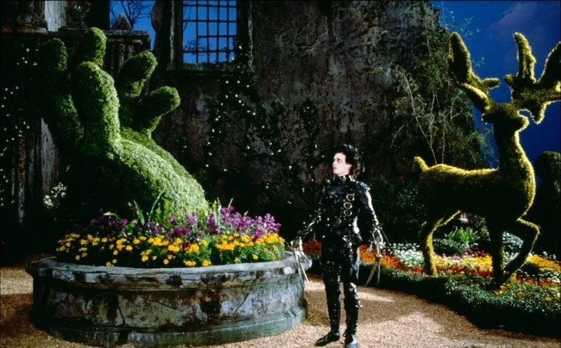 Frame 7