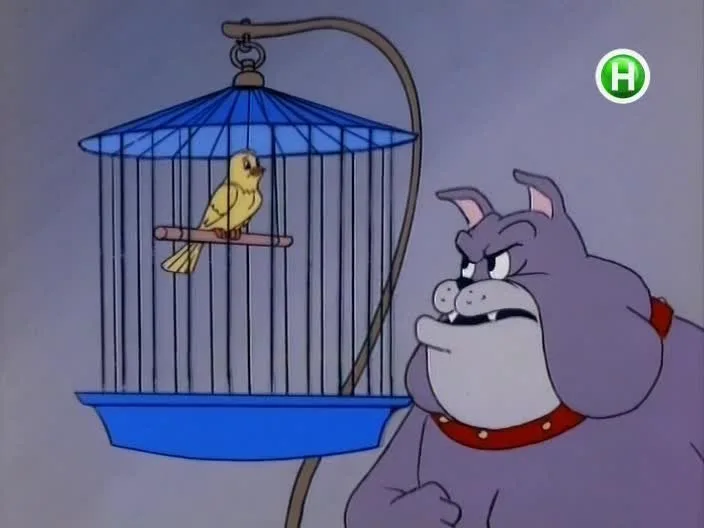 Frame 6
